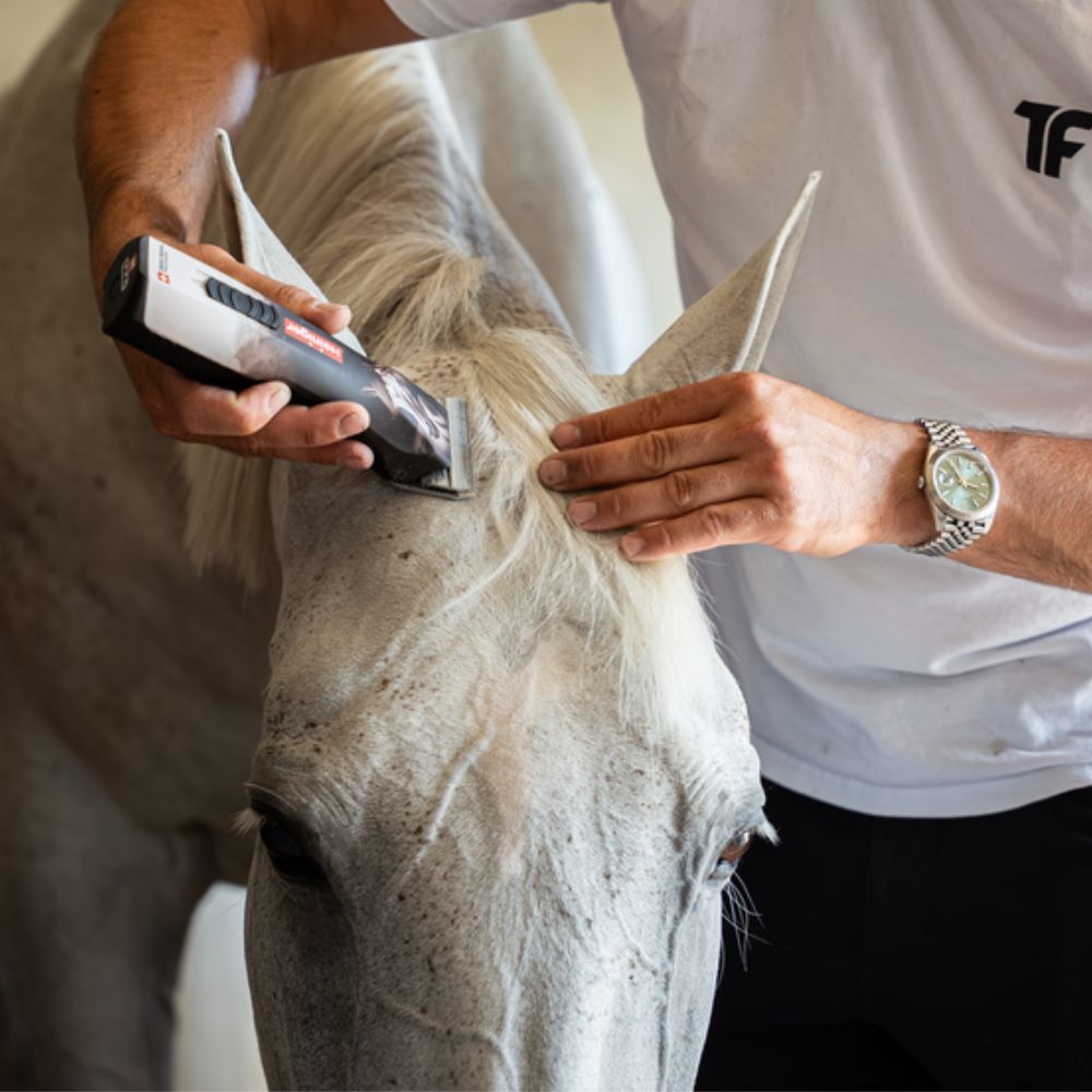 Tondeuse OPAL HORSE 1 batterie HEINIGER