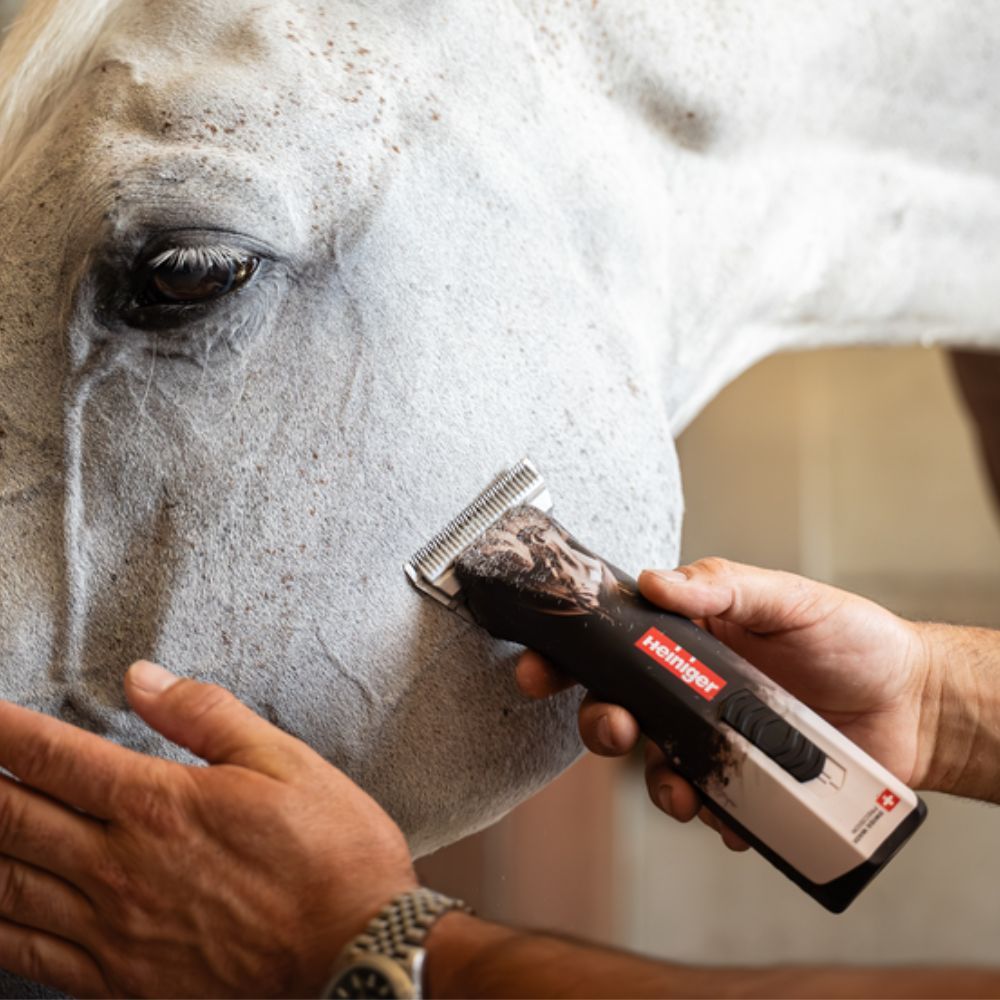 Tondeuse OPAL HORSE 1 batterie HEINIGER