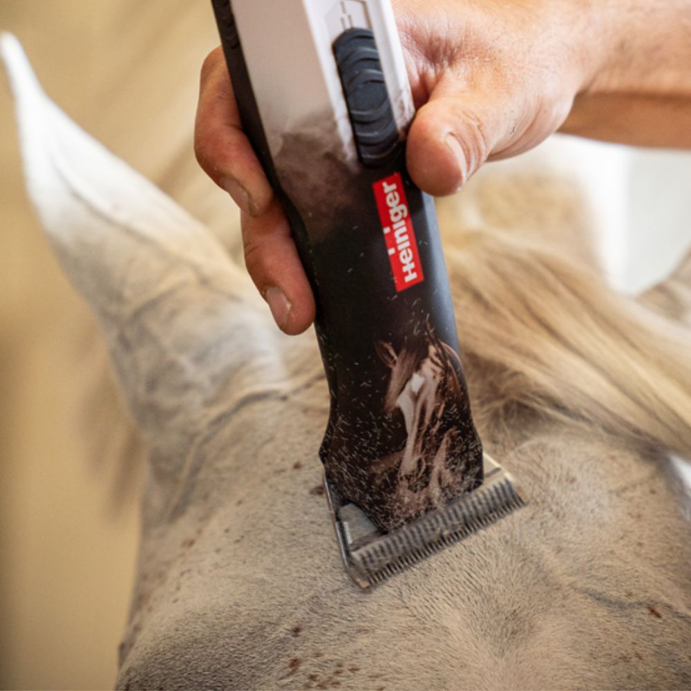 Tondeuse OPAL HORSE 1 batterie HEINIGER