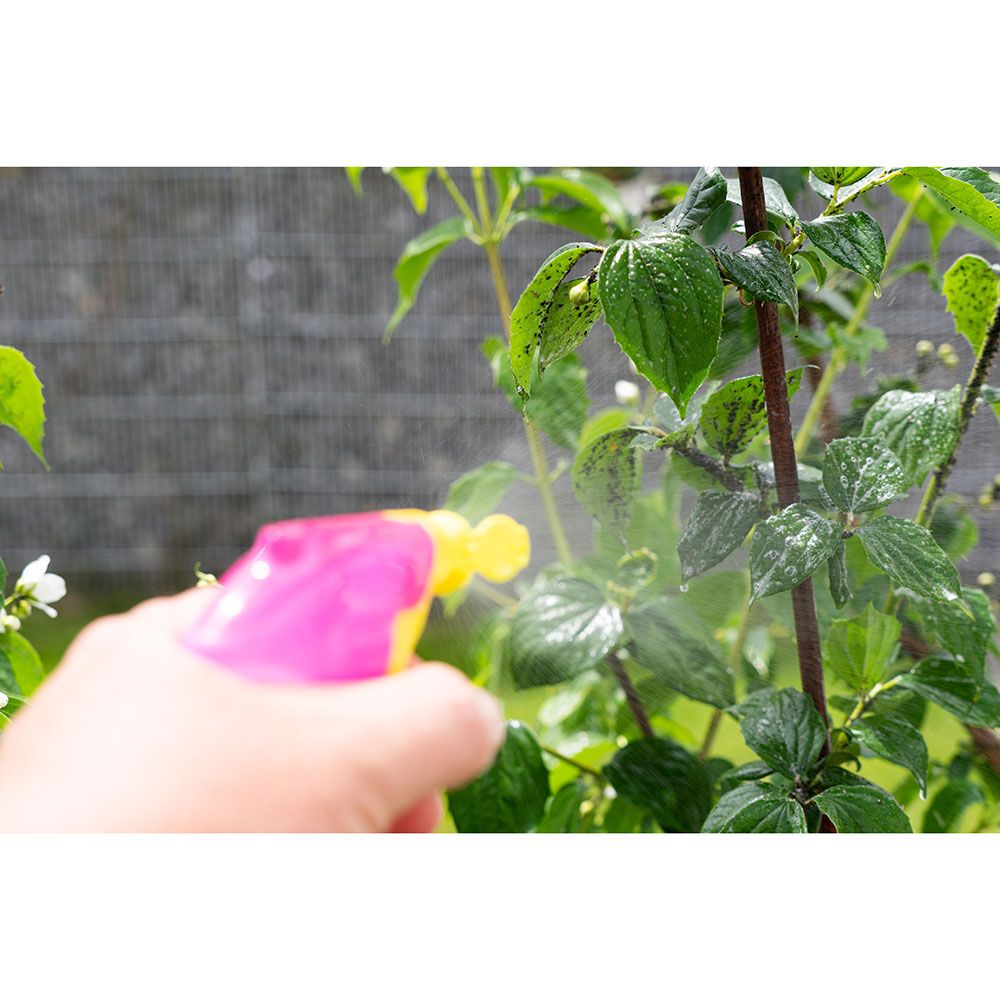 Savon noir concentré 1L PORTLAND GARDEN