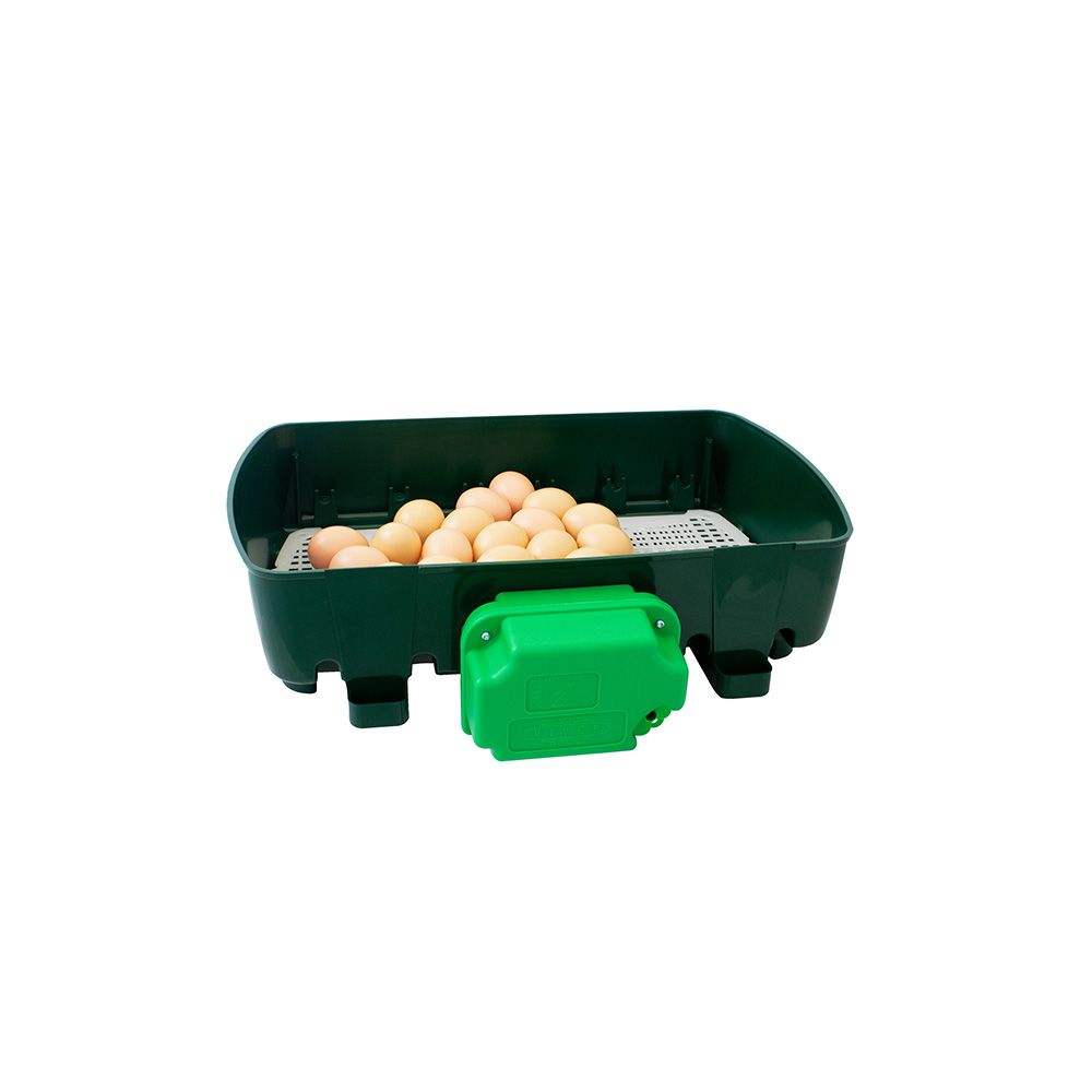 Couveuse automatique 24 oeufs RIVER