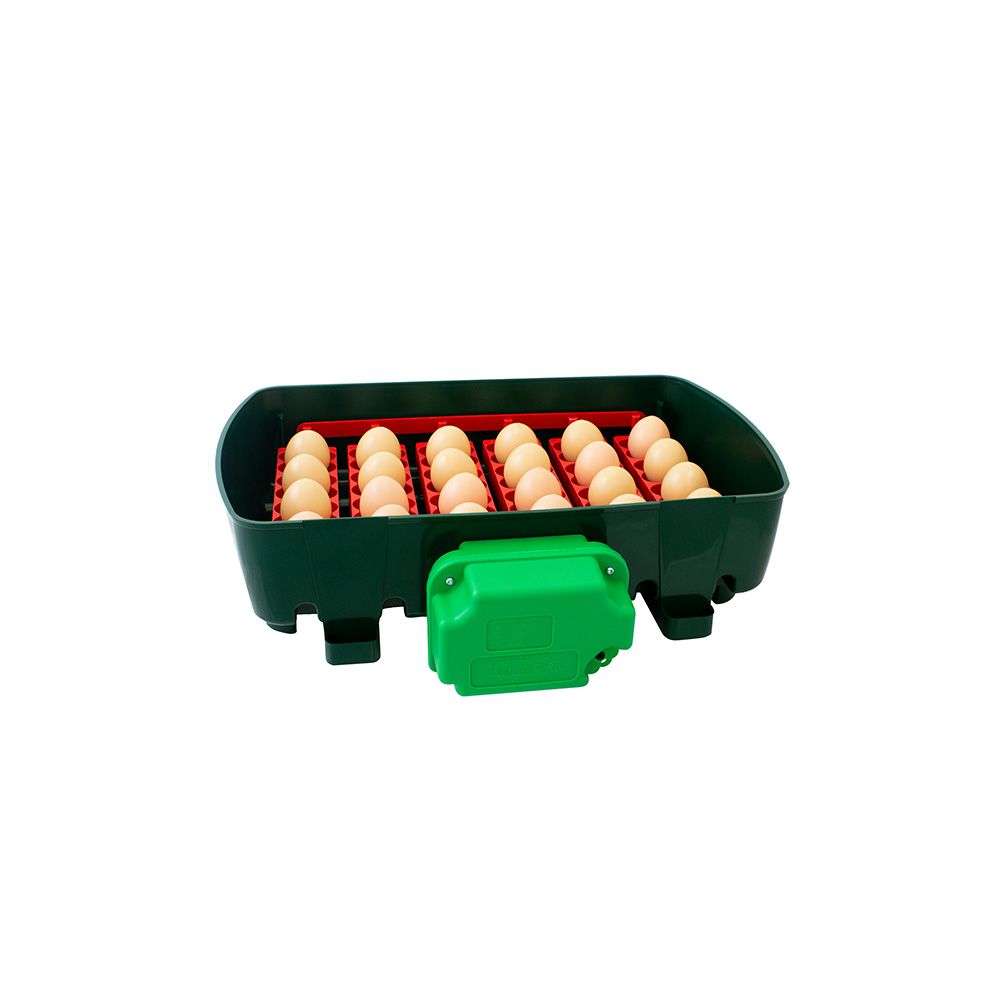 Couveuse automatique 24 oeufs RIVER