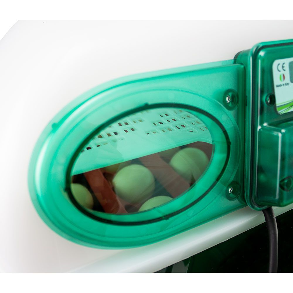 Couveuse automatique 24 oeufs RIVER