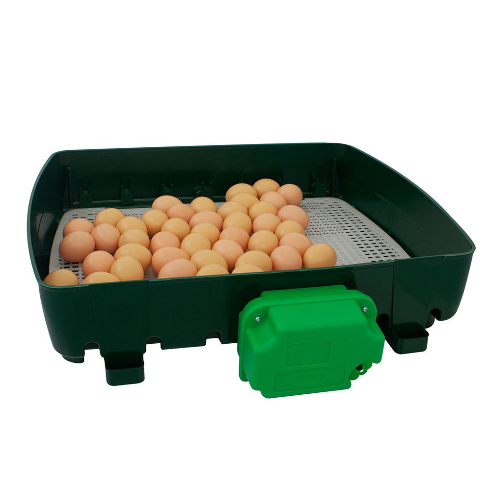 Couveuse automatique 49 oeufs RIVER