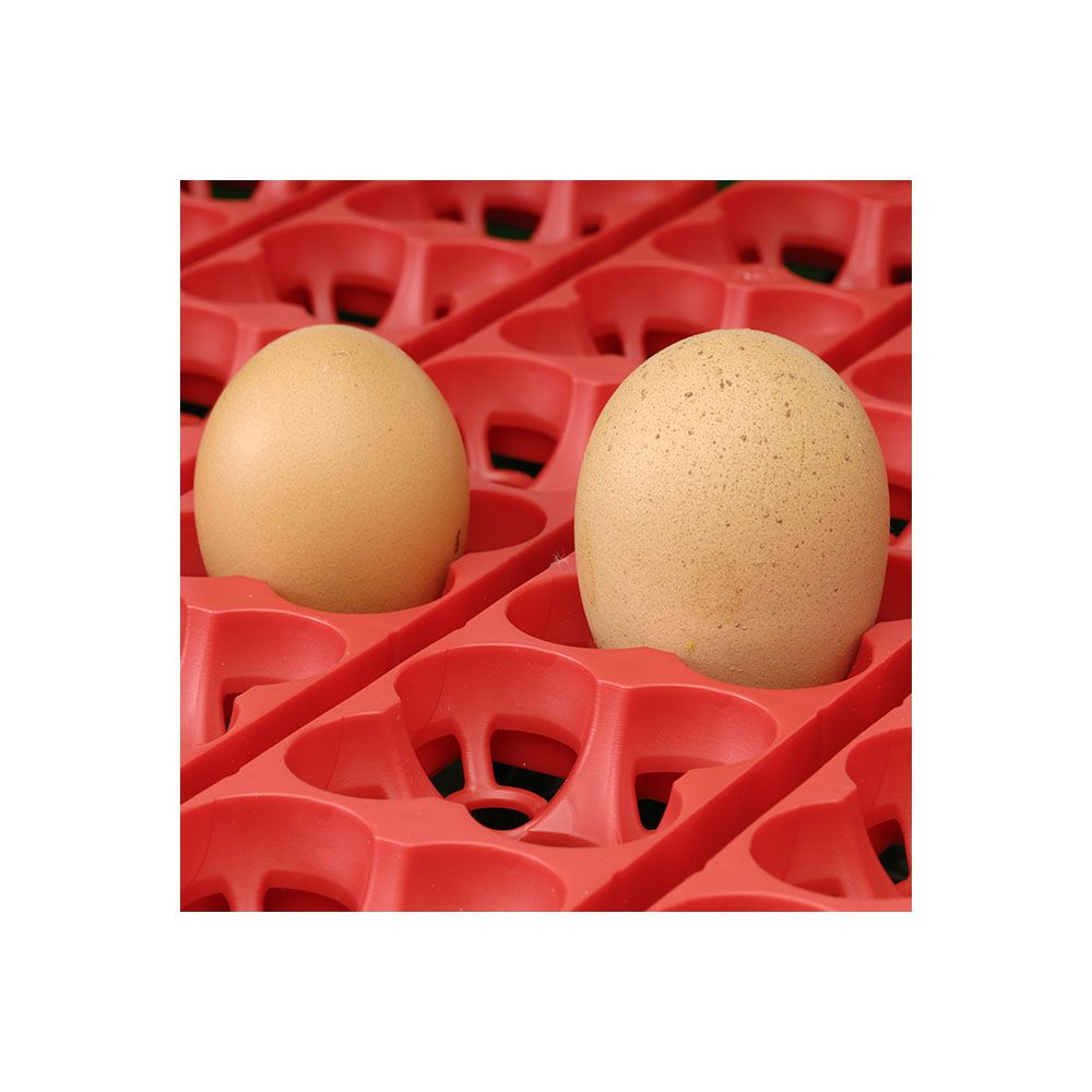 Couveuse automatique 49 oeufs RIVER