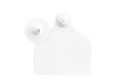 Boucles de marquage Ukal Flex maxi+bouton nue blanc x20