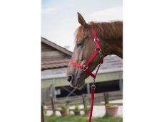 Ensemble licol et longe 