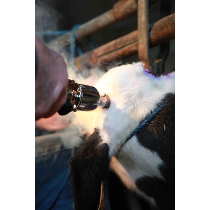 Ecorneur à gaz NETHORN + 2 cartouches gaz