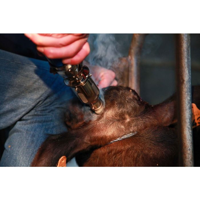 Ecorneur à gaz NETHORN + 2 cartouches gaz