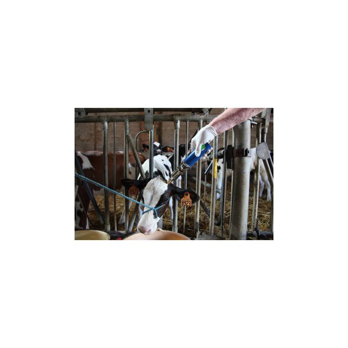 Ecorneur à gaz NETHORN + 2 cartouches gaz