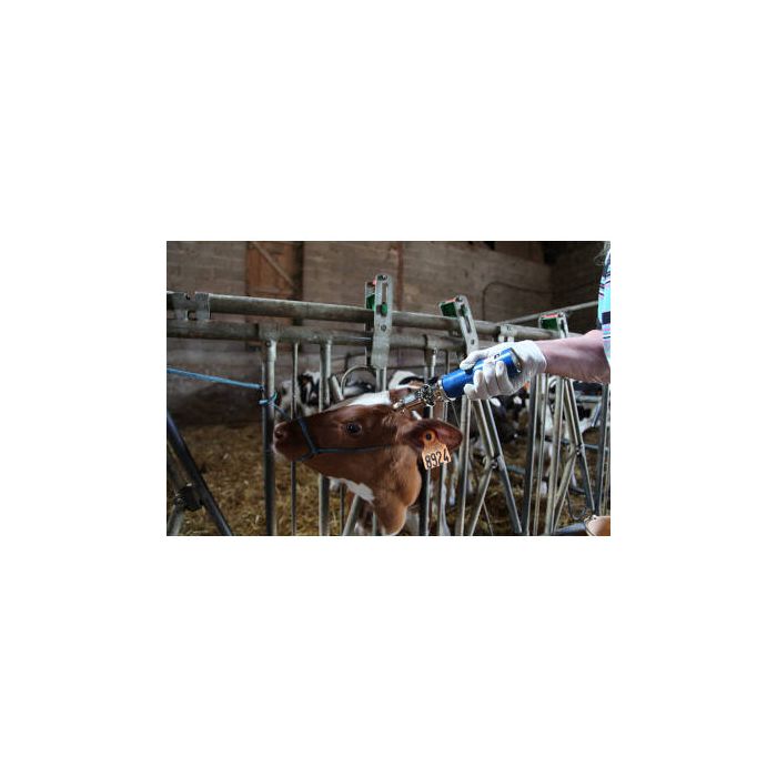 Ecorneur à gaz NETHORN + 2 cartouches gaz