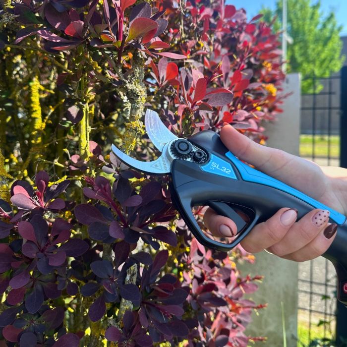 Sécateur électrique automatique pour jardin CAMPAGNOLA