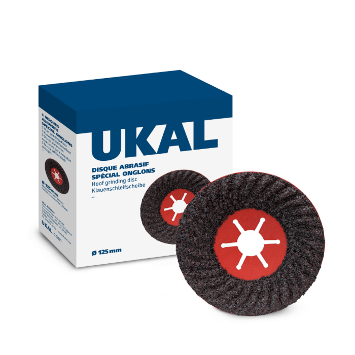  5 Disques abrasifs spécial onglons Ø 125 mm