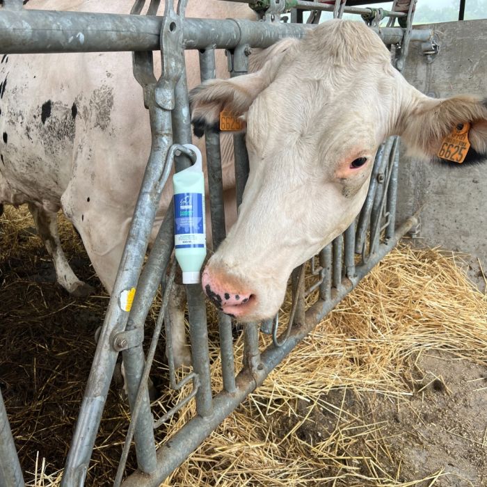 Soin apaisant et rafraîchissant pour pis 500 ml SEPTICARE MINT