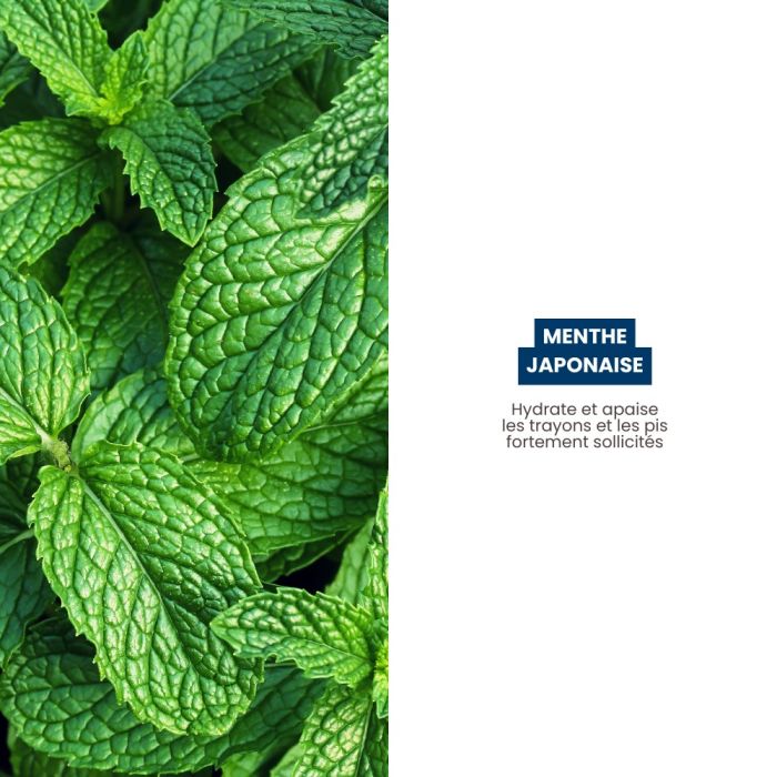 Soin apaisant et rafraîchissant pour pis 500 ml SEPTICARE MINT