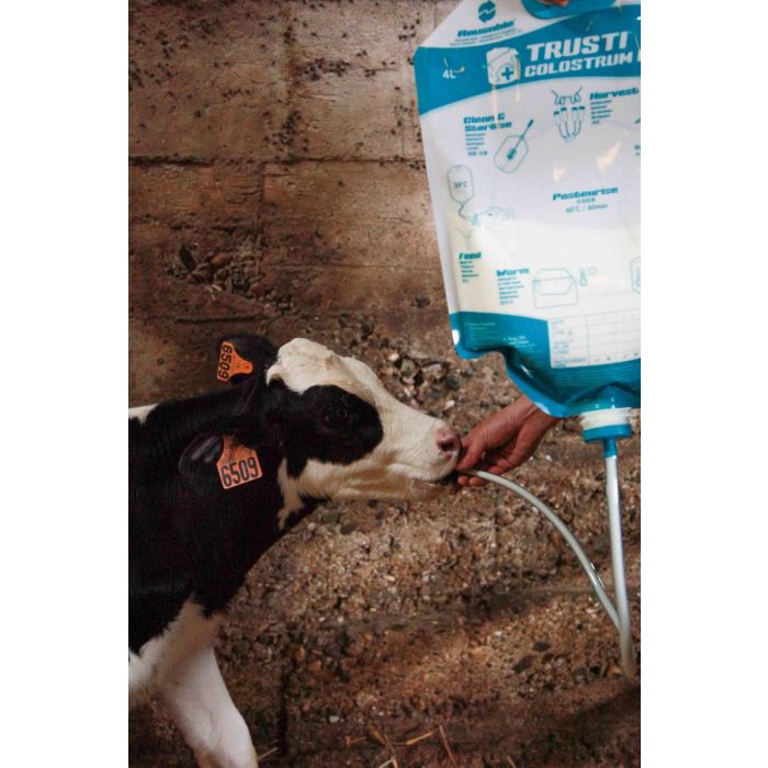 4 Sacs pour colostrum avec embout et tube ANTAHI