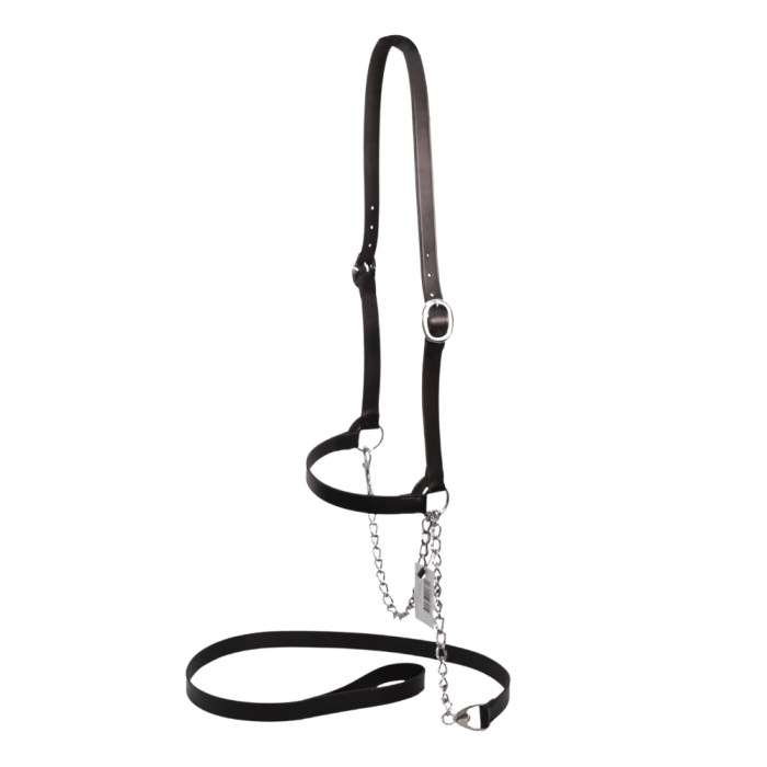 Licol américain en cuir noir pour vache laitière KAMER