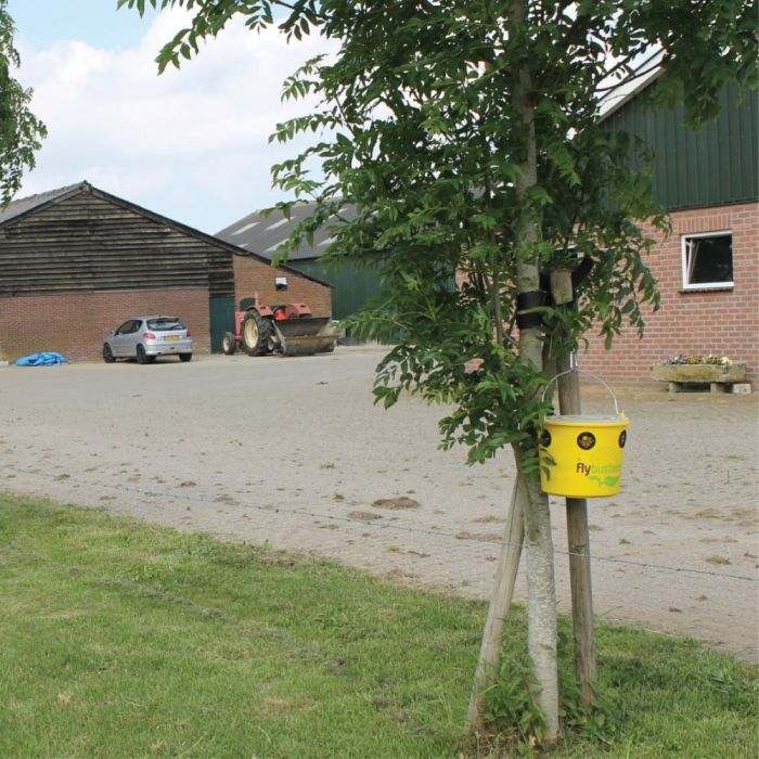 Seau piège à mouches Fly X 12 L + poudre attractive