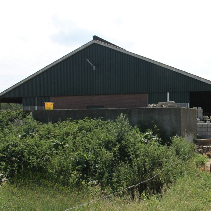 Seau piège à mouches Fly X 12 L + poudre attractive