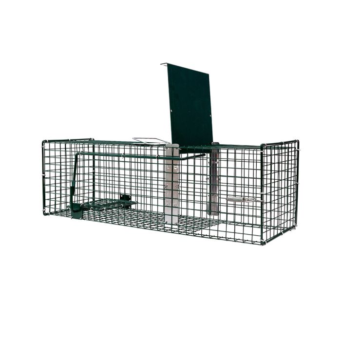 Cage à rats 1 entrée, 60 x 19 x 19 cm BOXTRAP