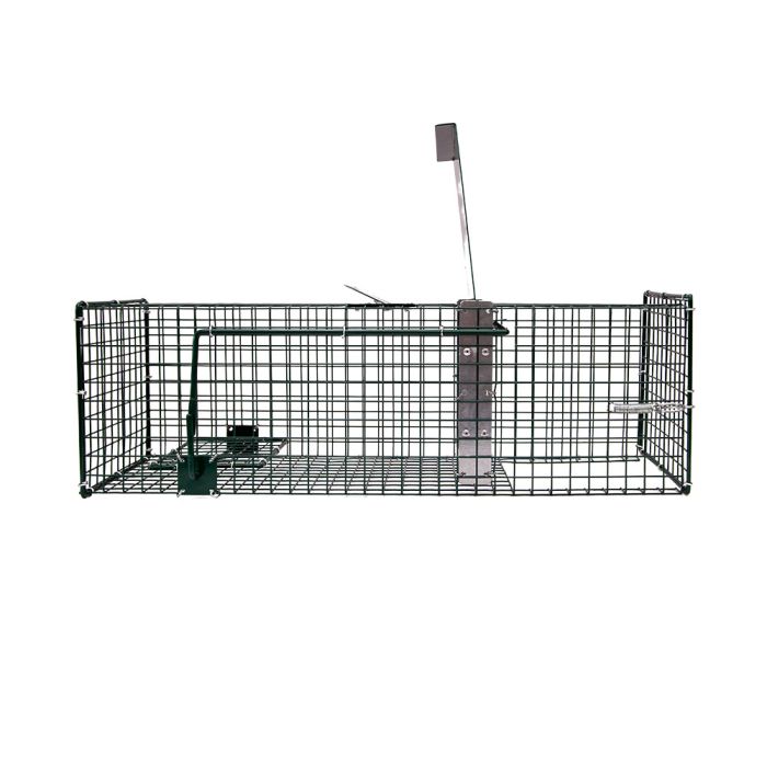 Cage à rats 1 entrée, 60 x 19 x 19 cm BOXTRAP