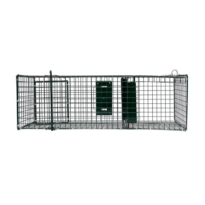 Cage à rats 1 entrée, 60 x 19 x 19 cm BOXTRAP