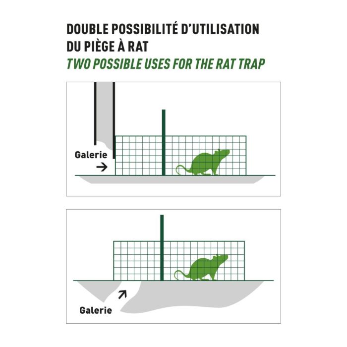 Cage à rats 1 entrée, 60 x 19 x 19 cm BOXTRAP