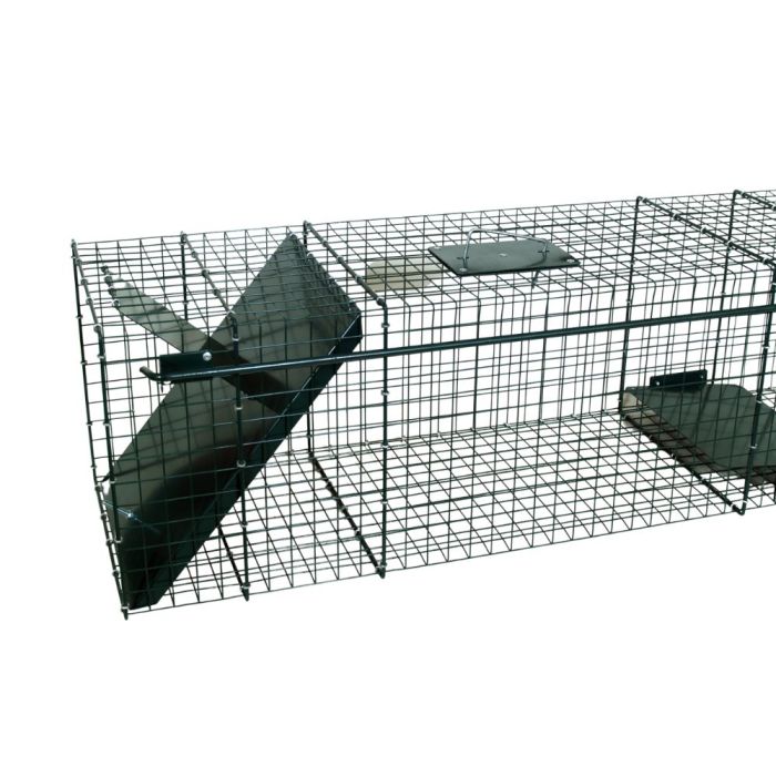 Piège pour raton laveur 1 entrée, 100 x 30 x 30 cm BOXTRAP