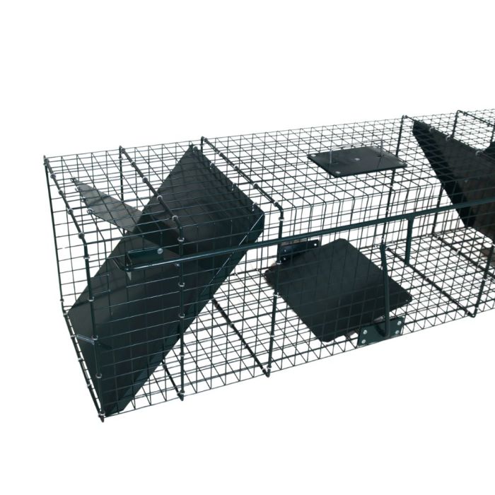 Piège pour raton laveur 2 entrées, 100 x 30 x 30 cm BOXTRAP