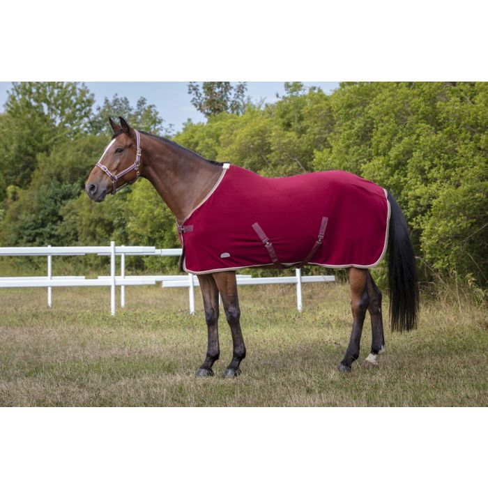 Licol polyfun bordeaux EQUITHEME pour cheval
