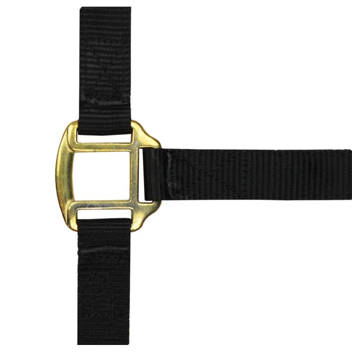 Licol nylon noir doublé cuir pour cheval de trait