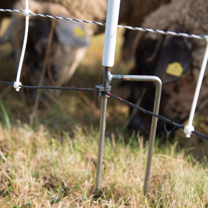  Filet moutons double pointe, Turbomax, 1.05 x 50 m