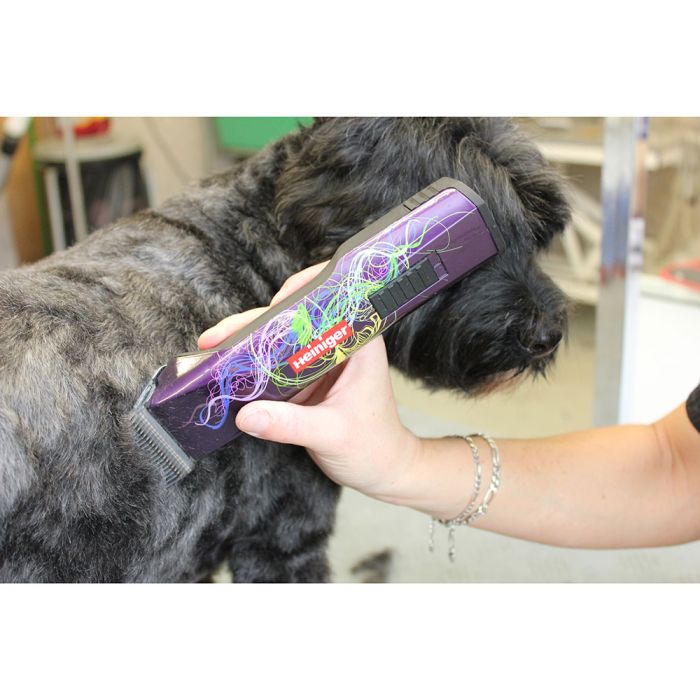 Tondeuse Saphir Style sans fil 2 batteries HEINIGER