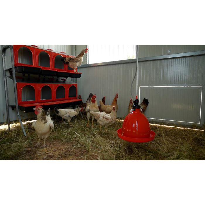 Poulailler mobile 11 m² pour 100 poules COPELE