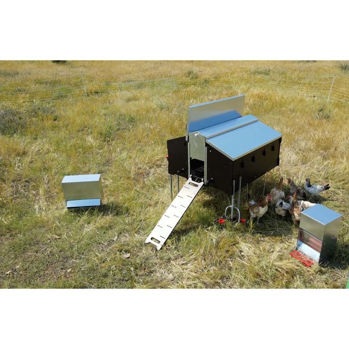 Poulailler pour 10 poules