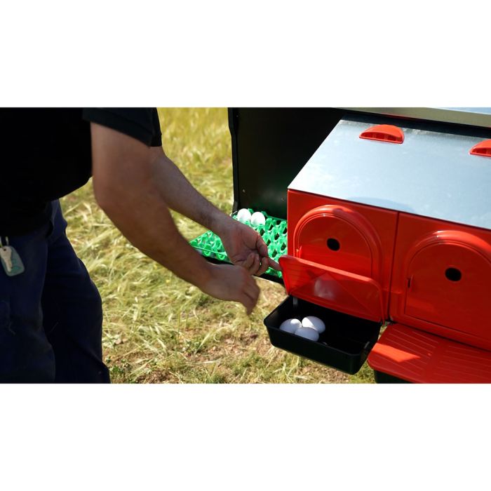 Poulailler pour 10 poules