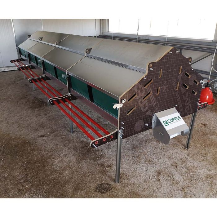 Pondoir collectif pour 120 poules