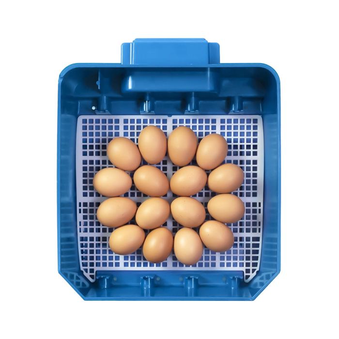 Couveuse LUMIA 16 œufs BOROTTO automatique