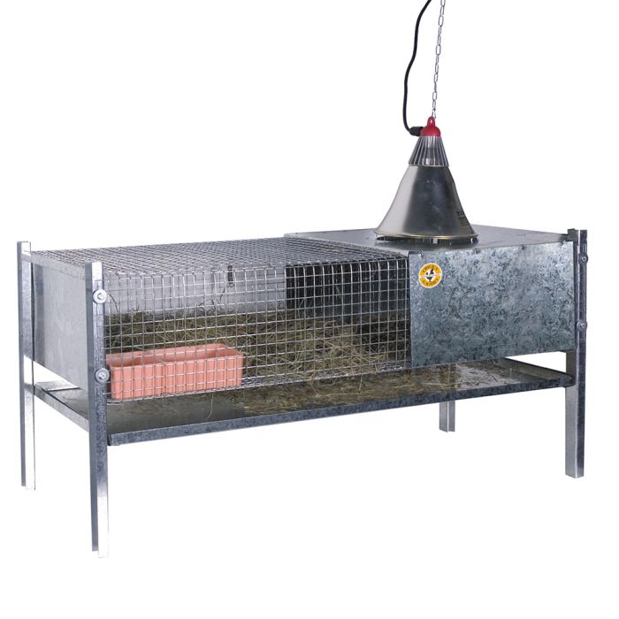 Cage d'élevage pour poussins et cailles