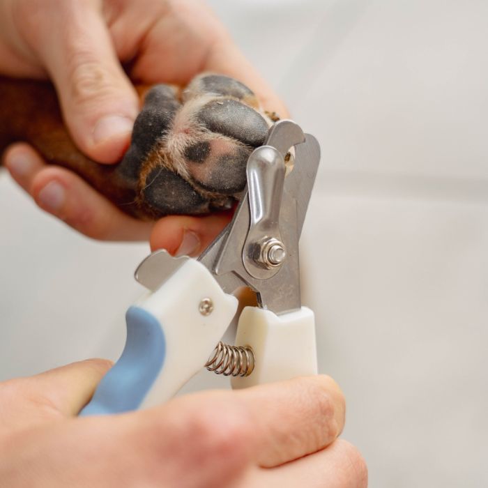 Coupe-griffes pour chien et chat PURALIA