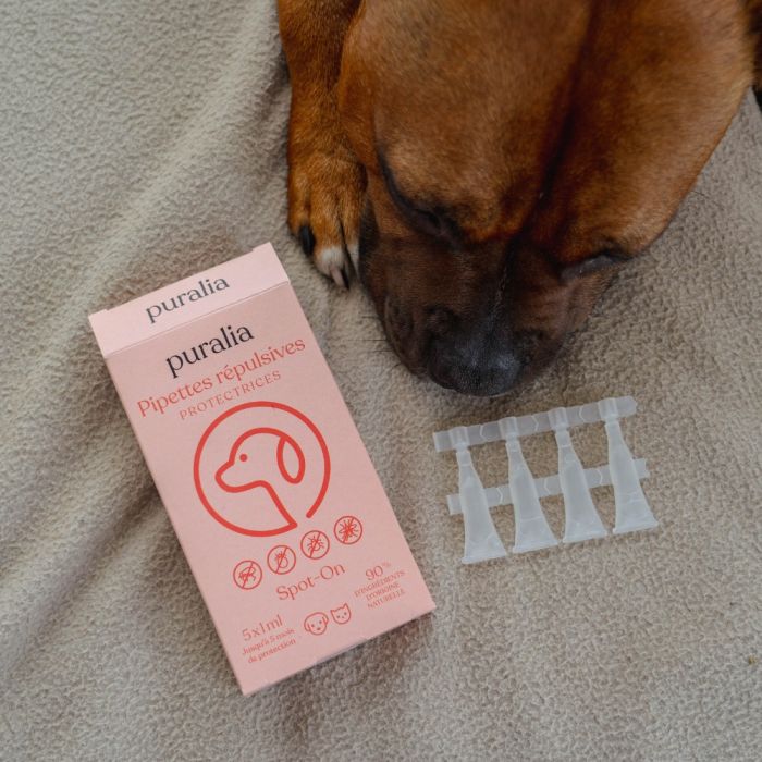 5 pipettes répulsives Spot-on 1 ml PURALIA