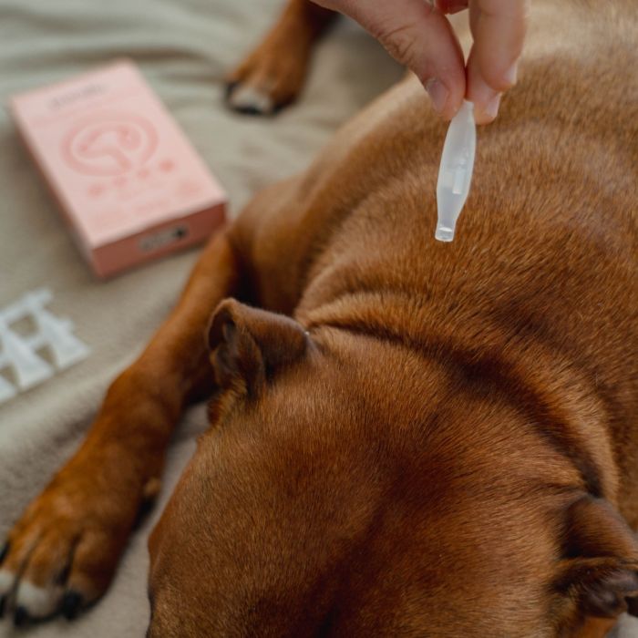 5 pipettes répulsives Spot-on 1 ml PURALIA