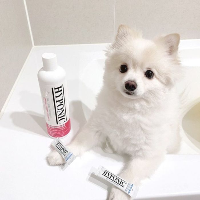 Shampoing exfoliant en poudre pour chiens et chats 12 x 2 g HYPONIC