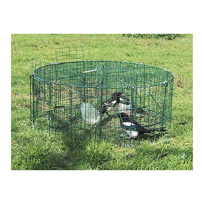 Cage à pie ronde à 5 compartiments - BOXTRAP