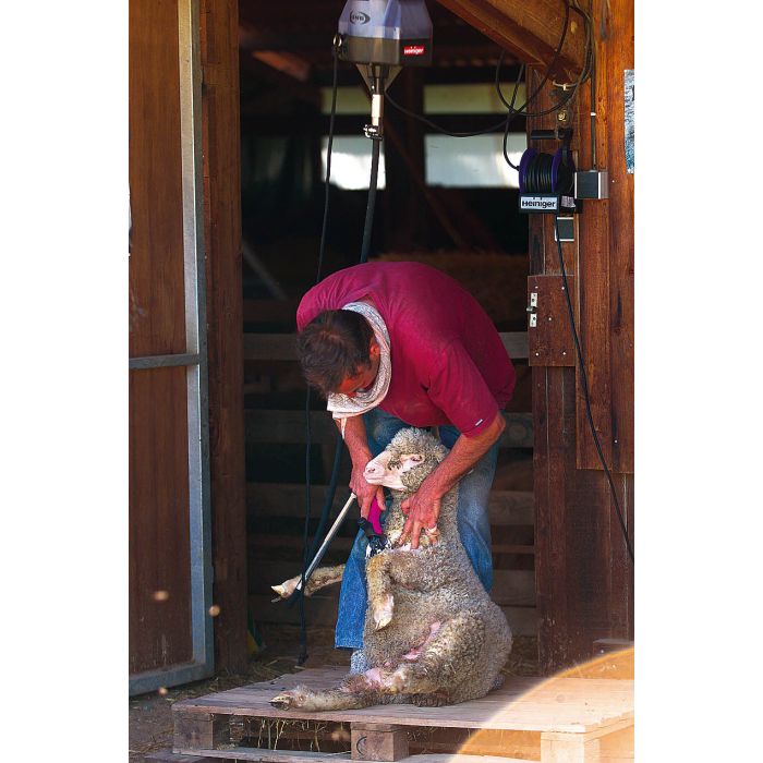 Tondeuse Heiniger One couplage Worm + Poignée Icon