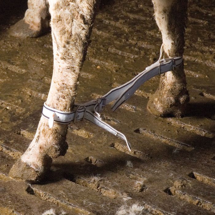 Entrave en nylon triple réglage