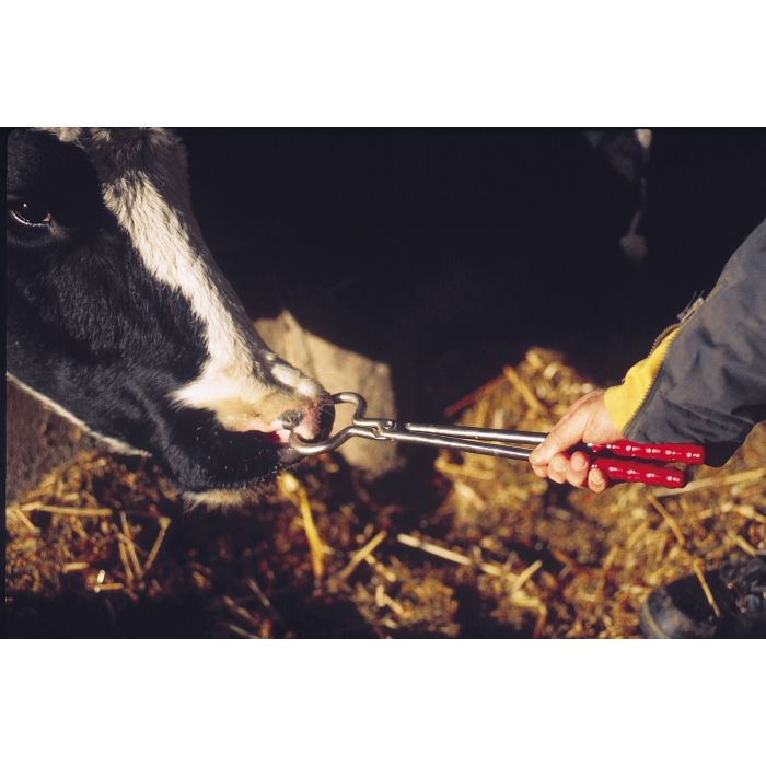 Pince mouchette 44 cm