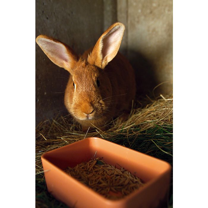 Mangeoire plastique rectangulaire simple