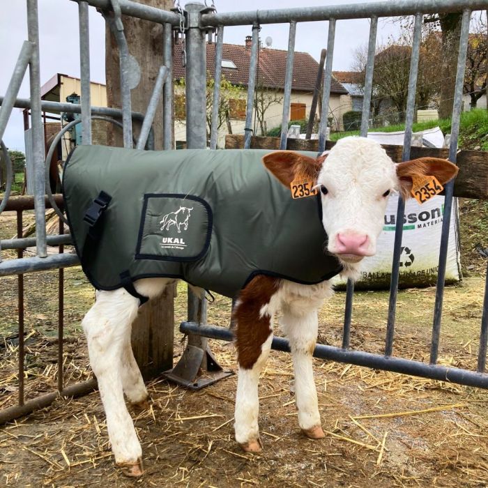 Couverture pour veau UKAL