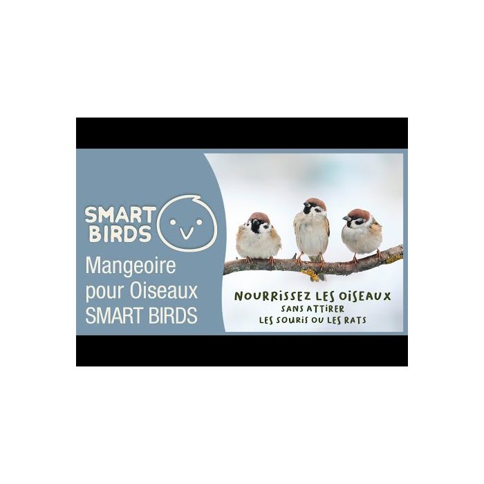 Mangeoire anti-nuisibles SMART BIRDS pour oiseaux bleue SWISSINNO
